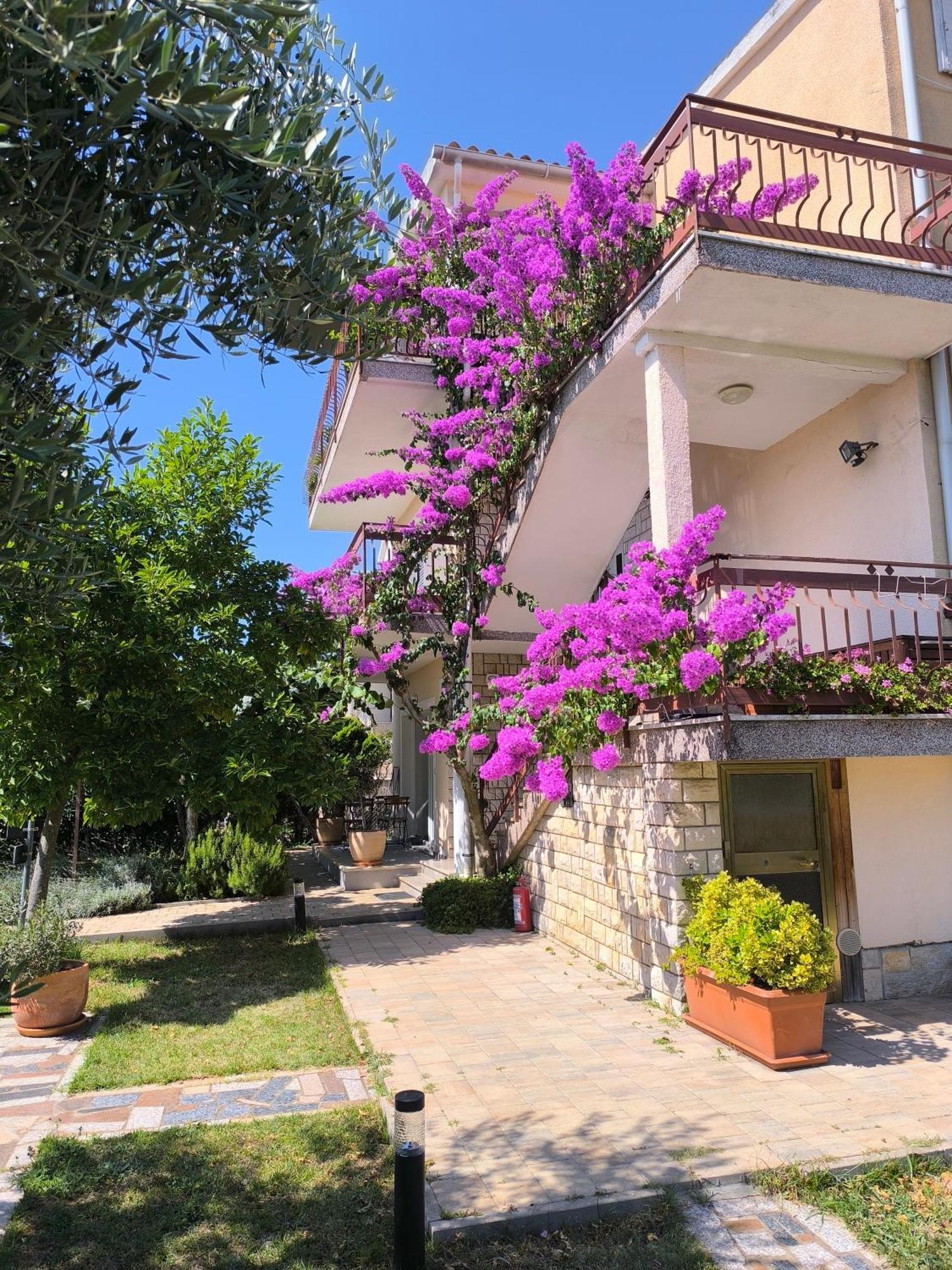 Apartments Lirio Umag Extérieur photo