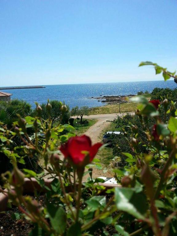 Apartments Lirio Umag Extérieur photo
